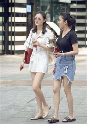 微博网红恶犬