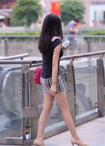 所有电视剧全部免费的软件
