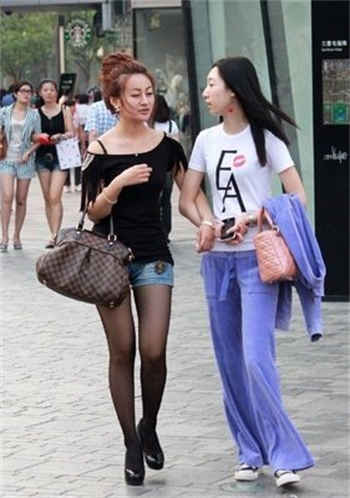 百媚导航v6