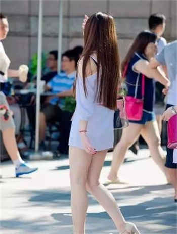 猫咪99久找到回家的路