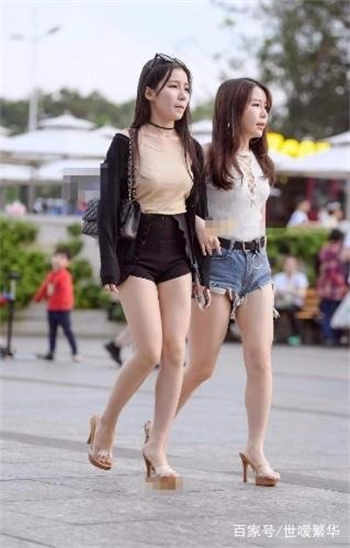 147人胆鲍图高清