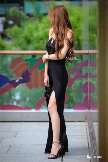 杨柳图片大全大图