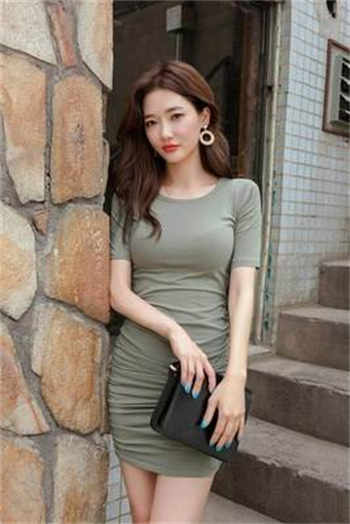 女兽医的秘密txt